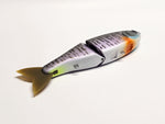 SR Glideway176